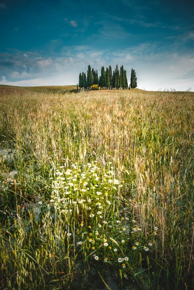 Toscana fotografo, Landscape Tuscany photographer drone photo-2019-7196-modifica-2019-7148-modifica